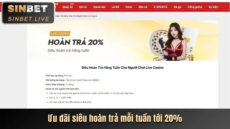 Hoàn trả hàng ngày 5tekmira